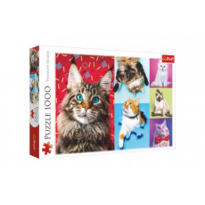 Puzzle Šťastné kočky 1000 dílků 68,3x48cm v krabici 40x27x6cm