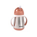 Hrnek termoizolační s brčkem nerez 250ml Terracotta
