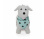 ZOPA  Skippy hopsadlo