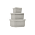 Sada boxů na svačinu 3 ks Platinum Silicone Sand