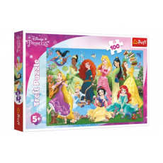 Puzzle Půvabné princezny/Disney 100 dílků 41x27,5cm v krabici 29x19x4cm Puzzle Půvabné princezny/Disney 100 dílků 41x27,5cm v krabici 29x19x4cm