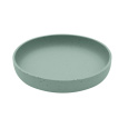 Talíř Platinum Silicone Sage