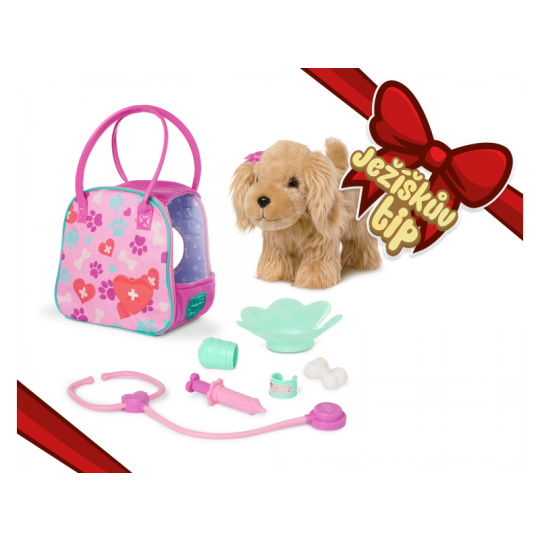 Kokršpaněl v kabelce  s veterinářskou sadou