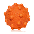 EXPLORER DOG AirBall Hroty 8 cm